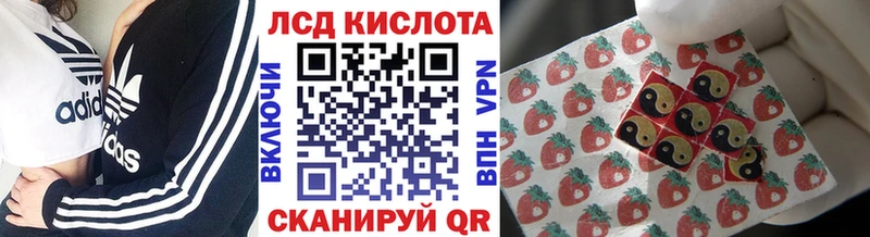 купить наркоту  Бабушкин  Марки 25I-NBOMe 1,8мг 